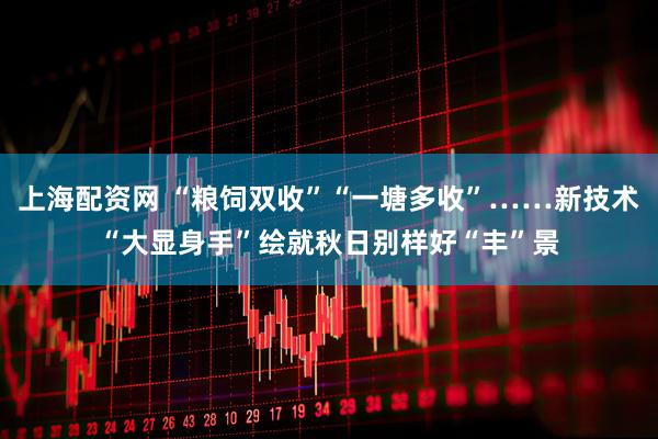 上海配资网 “粮饲双收”“一塘多收”……新技术“大显身手”绘就秋日别样好“丰”景